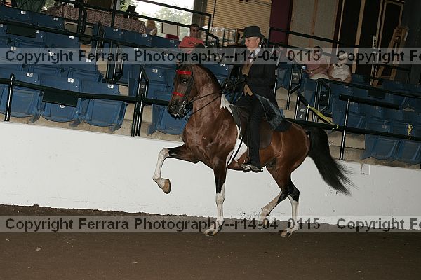 Proof Number r14-04_0115